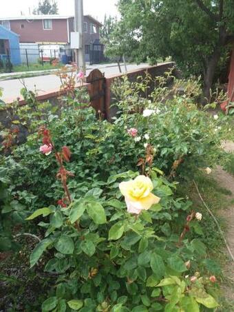 Apartamento Antawara