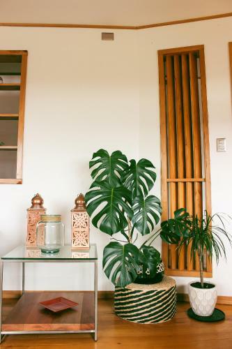 Lodge Caba�as Arrayanes De Huillinco En Chilo�