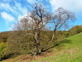 Apartamento Ubytovanie Pod Ga?tanom