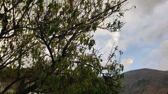 Apartamento Las Bromelias