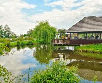 Bed & Breakfast Vatra Boiereasca