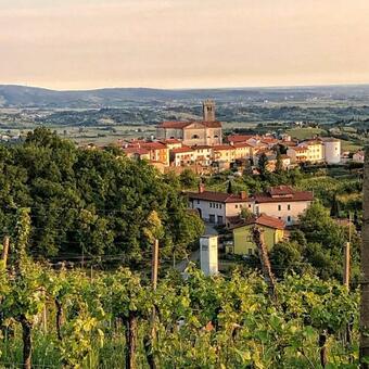 Bed & Breakfast Peterc Vineyard Estate