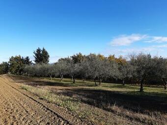 Apartamento Hi?a Bepina