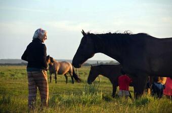 Los Chaj� Ecolodge