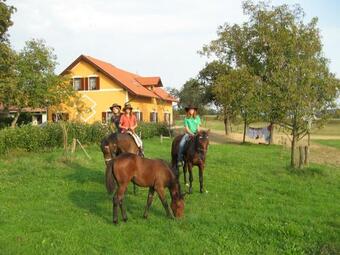 Apartments - Turisti?na Kmetija Vrbnjak