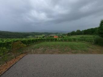 Vineyard Cottage Apartment Pr Kopr?evih