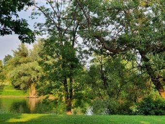 Gm House, Mobile House