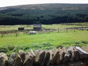 Bed & Breakfast Hill Top - Killhope