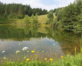 Domek Ca?oroczny El Coyote