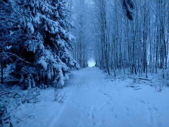 Apartamento Nadbu?a?ska Przygoda