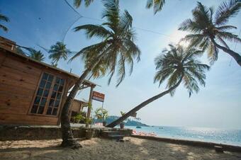 Bed & Breakfast The Nest