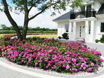 Villa Dom Wypoczynkowy Pod Orzechem