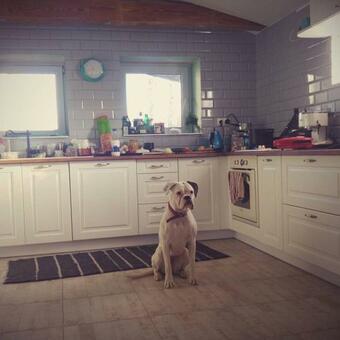 Gospodarstwo Agroturystyczne ?betula Pendula? Du?y Dom