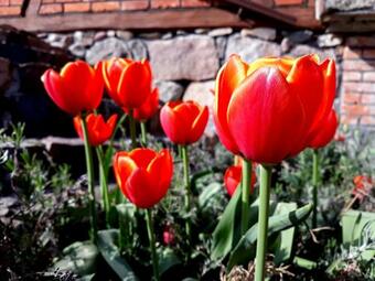 Bed & Breakfast Targowski Dw�r Mazury