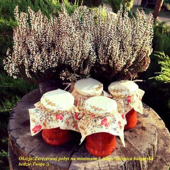 Agroturismo Farmstay Marian�wka U Tesi