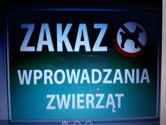 Apartamento G?og�w Przy Grodzkiej