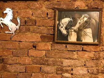 Agroturismo Stajnia Na Warszawskiej