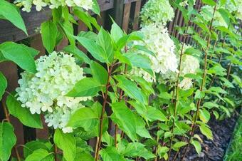 Domek W Otulinie Biebrzy