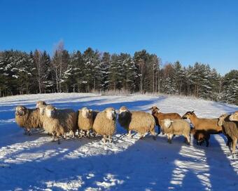 Siedlisko Zacisze - Agroturystyka W Gowinie
