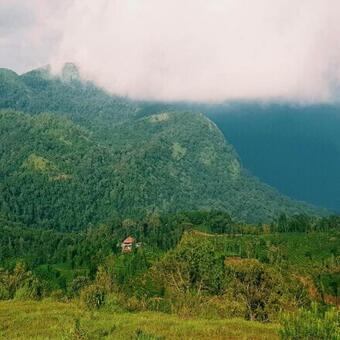 Tripthrill Hasiru Homestay