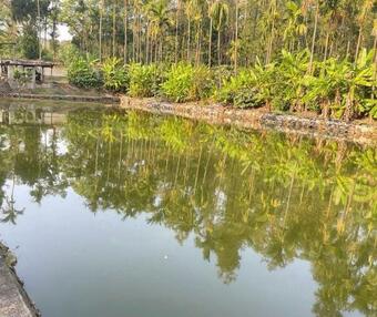 New Organic Home Stay