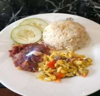 Marcian Garden Hotel