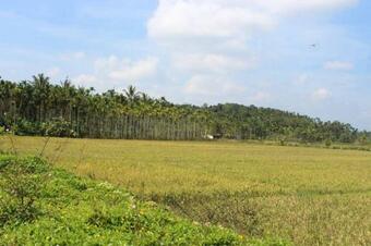 Wayal Wayanad Twin Villa