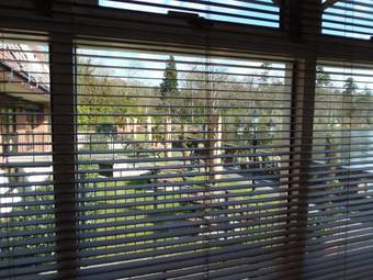 Lakeside International Hotel