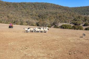 Apartamento Hillview, A Quiet Country Escape With Views.