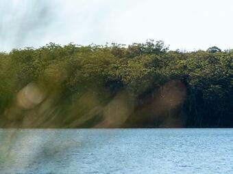 James Cres 52 Kings Point