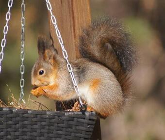 Modern Villa In Stockholm Archipelago
