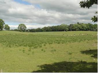 Apartamento Dunroamin Self Catering