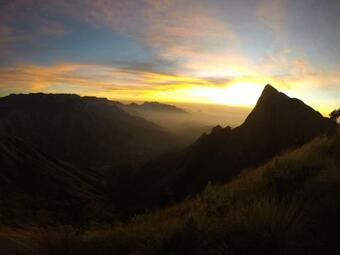 Hotel Shola Crown Resort - Munnar