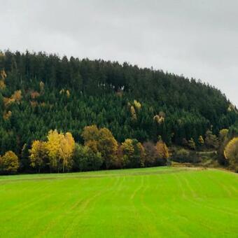 Bed & Breakfast Stal-escapade