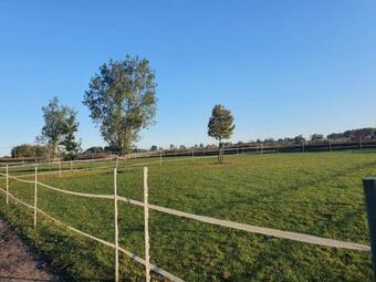 Apartamento Fewo Schuster