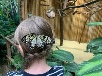 Apartamento Fewo Skiheim