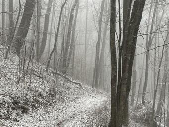 Pine Mountain Bed & Breakfast