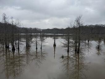 Tentrr State Park Site - Chicot State Park Site E