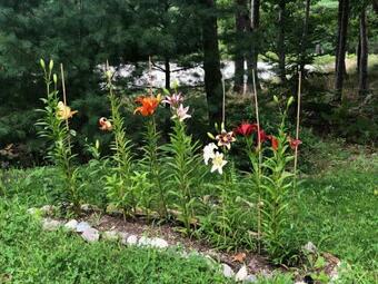 Hostal Modern House Family Retreat