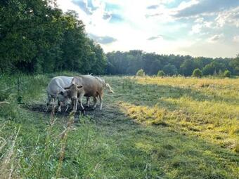 Apartamento Ferienwohnung Unter Den Linden