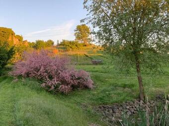 Apartamento Lindenhof