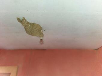 Black Stone Villa Kalugalwila