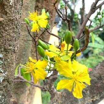 Apartamento Vinhome Grand Park Homestay House