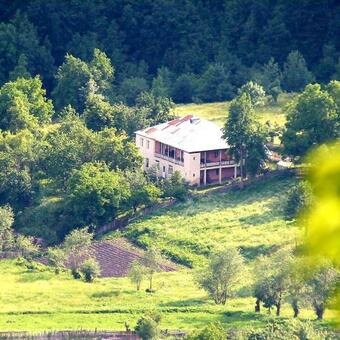 Hostal Green House Becho