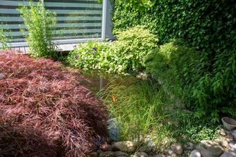 Bed & Breakfast B And B Suite No.3