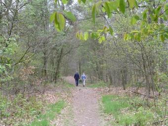 Vakantieverblijf Springendalsebeek