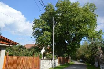 Hostal Baza Sportiva Adelina