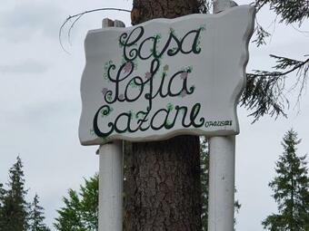 Hostal Casa Sofia Bucovina