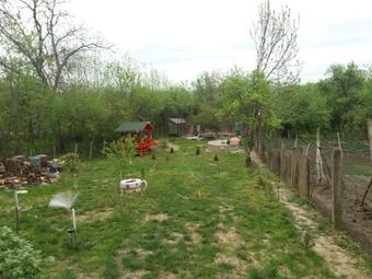 Bed & Breakfast Pensiunea Agroturistica Primavara
