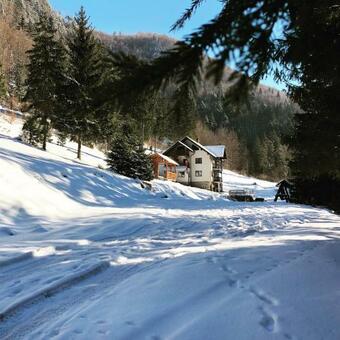Villa Cabana Caprioara - Piatra Craiului